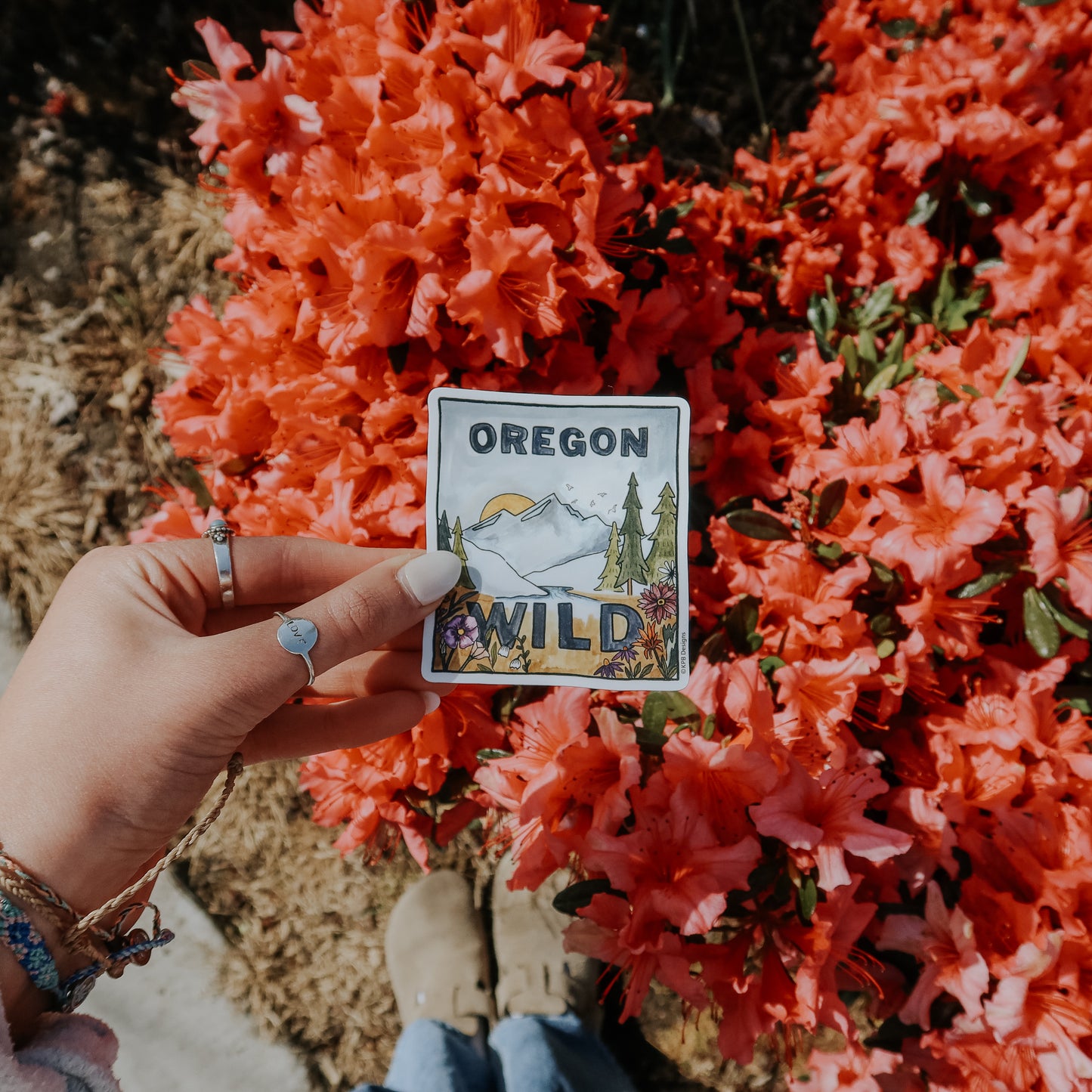Oregon Wild Sticker