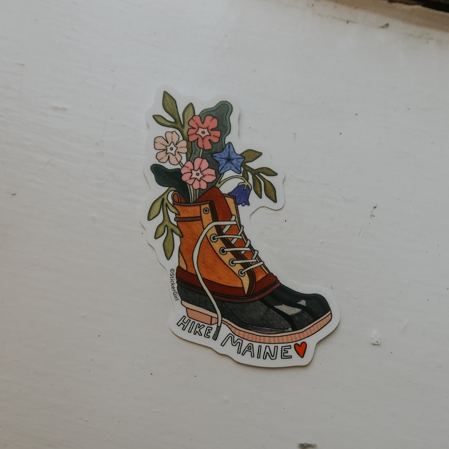 Hike Maine LL Bean Boot