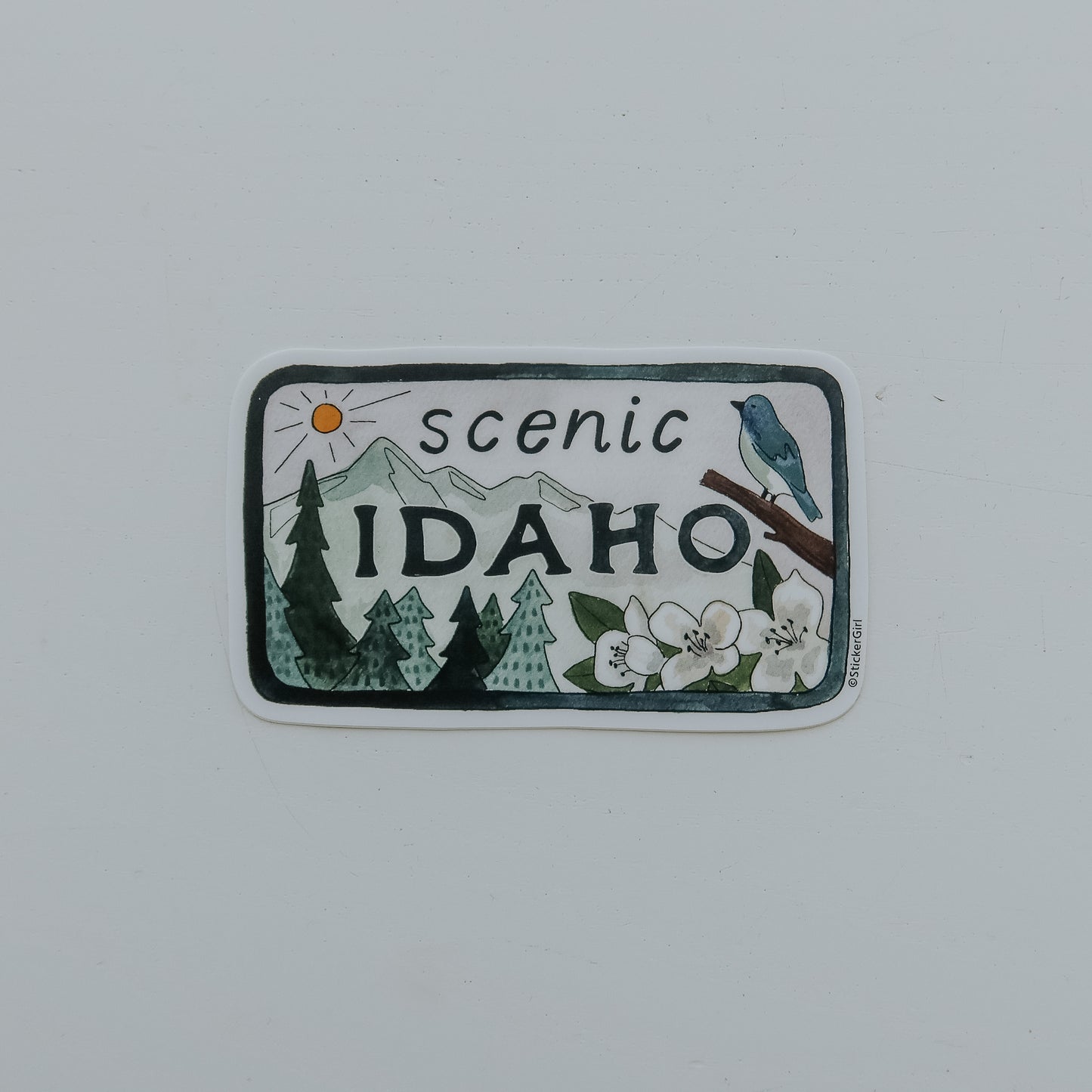 Scenic Idaho License Plate