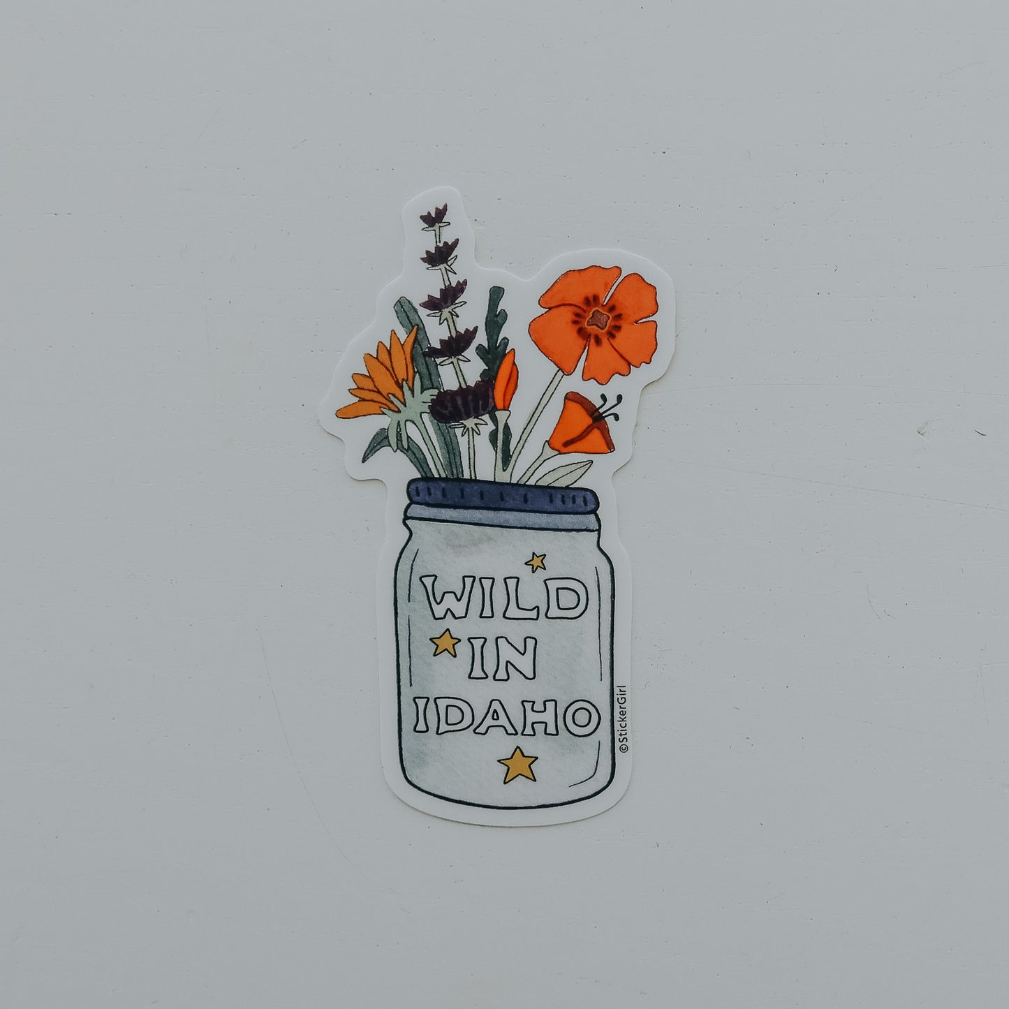 Wild in Idaho Flowers