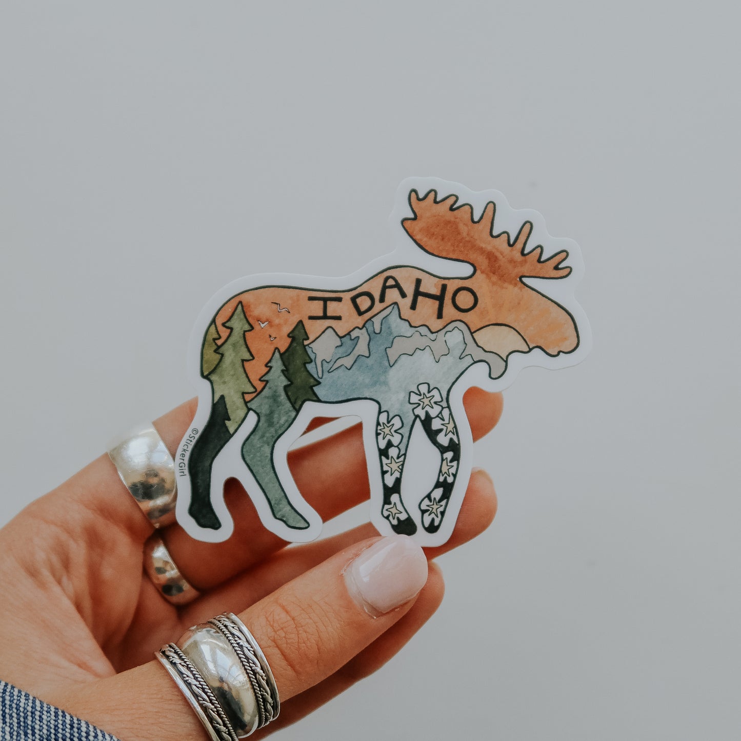Idaho Moose