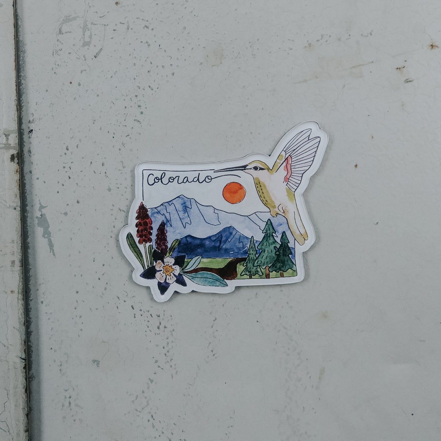Colorado Hummingbird Magnet