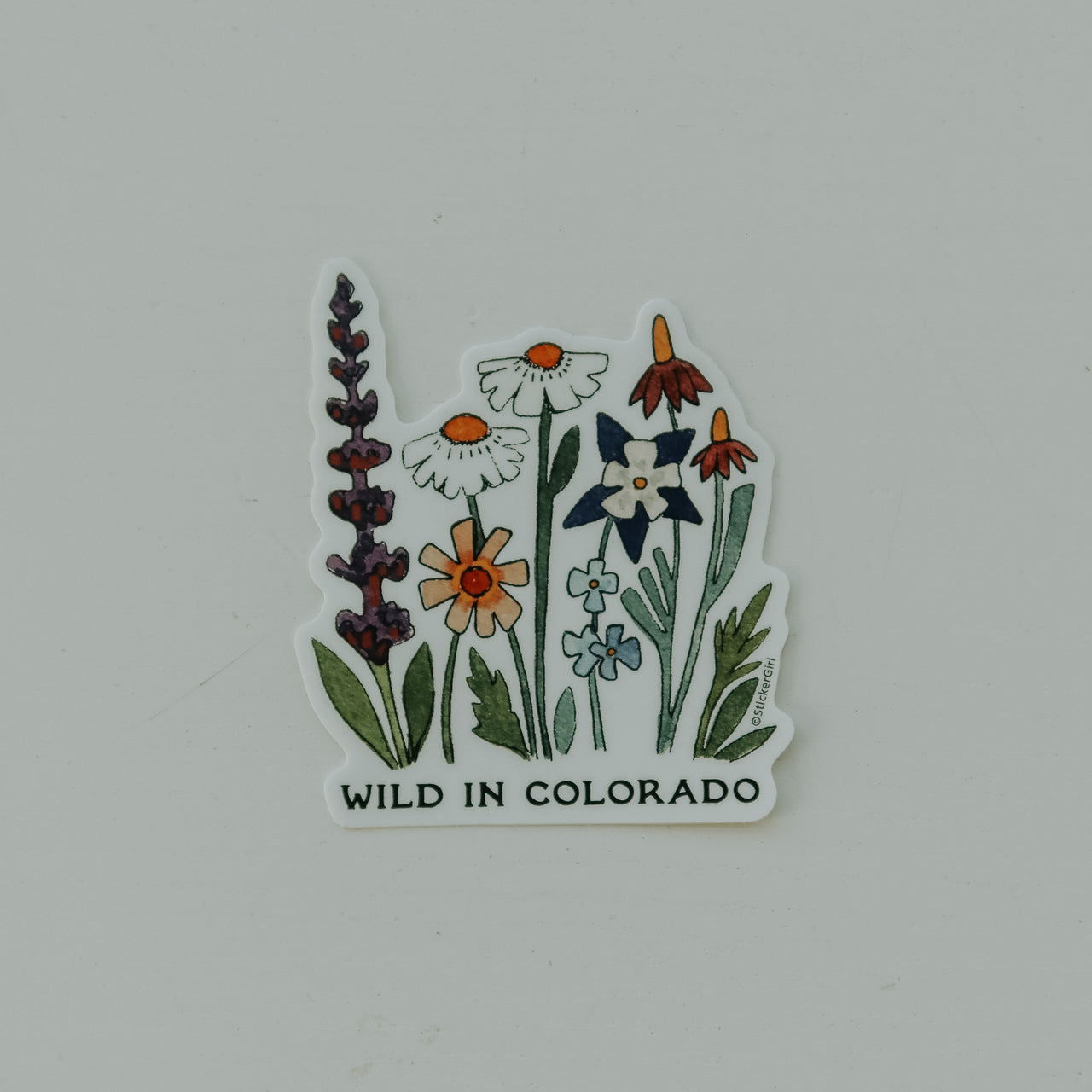 Wild in CO