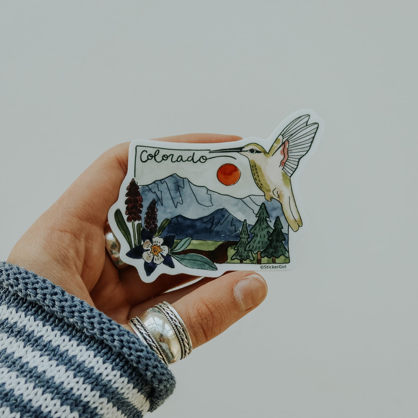 Colorado Hummingbird