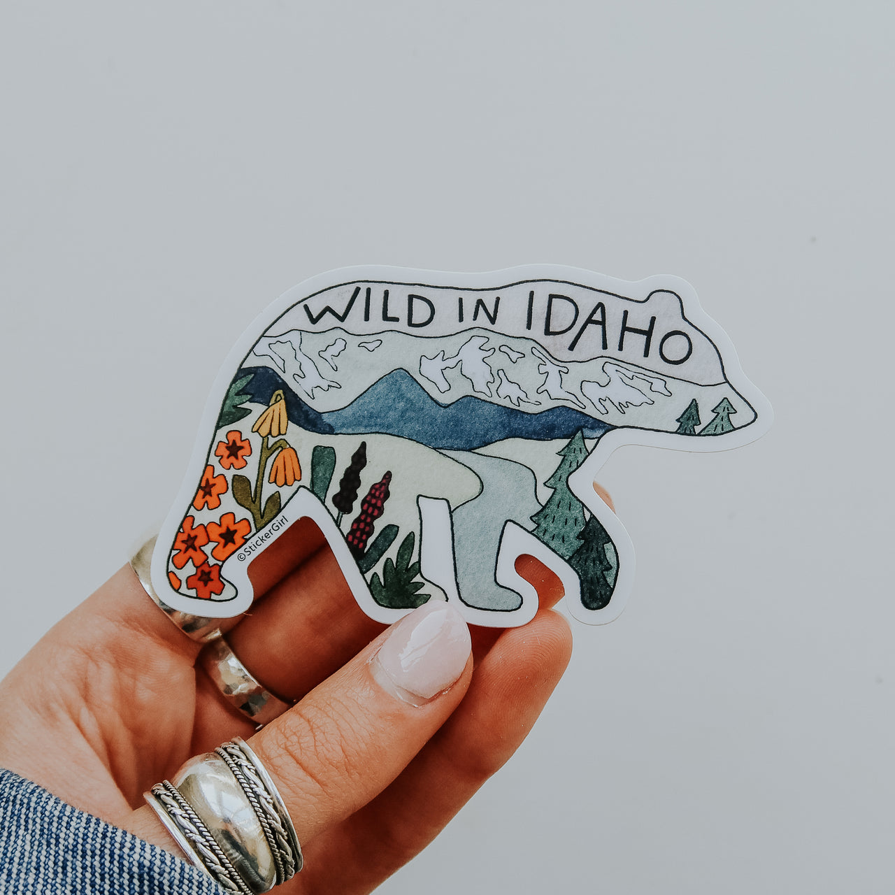 Idaho Bear