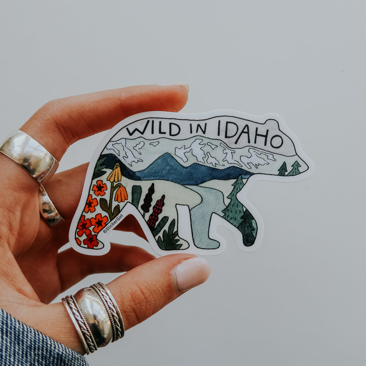 Idaho Bear
