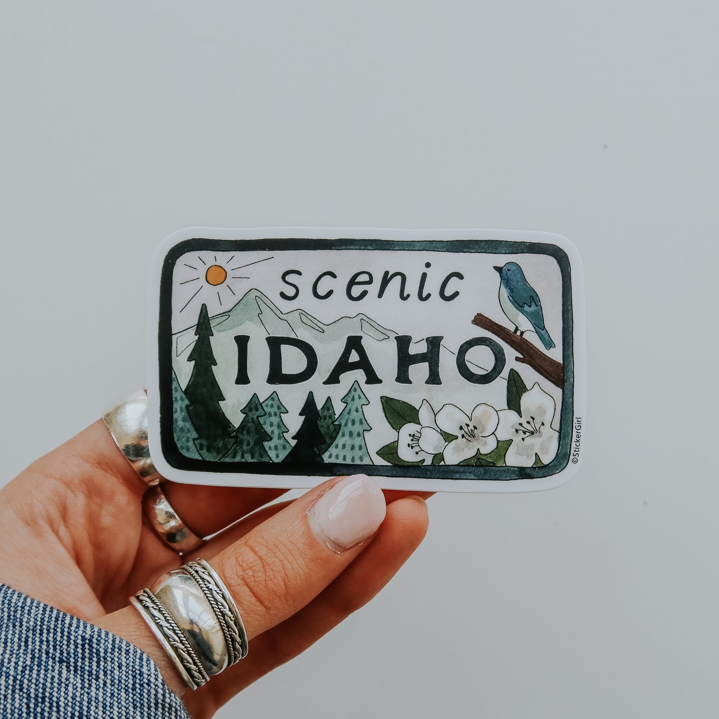Scenic Idaho License Plate