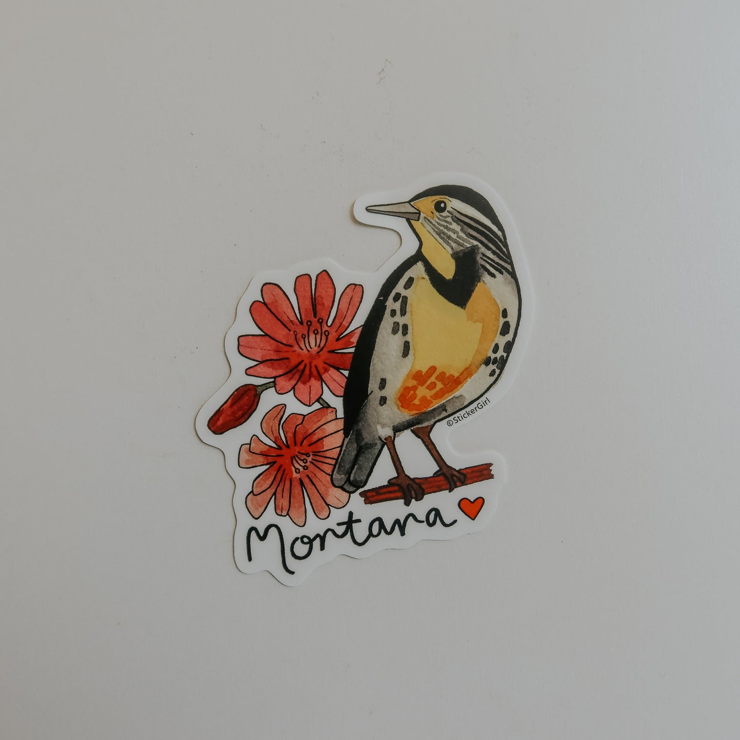 Montana State Bird Vinyl Sticker