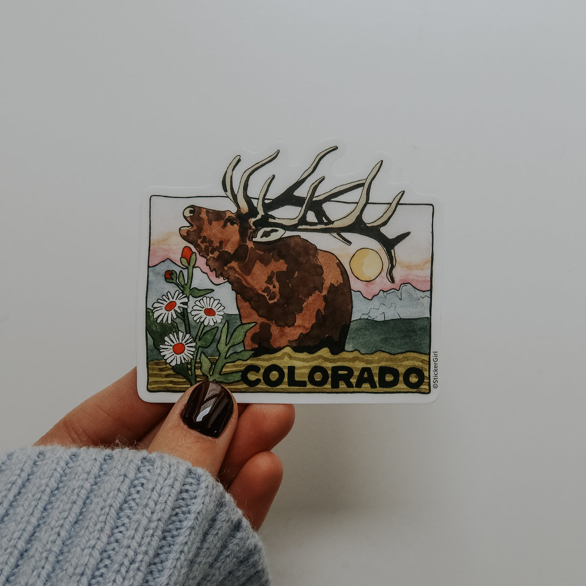 Elk Colorado State Outline Vinyl Sticker