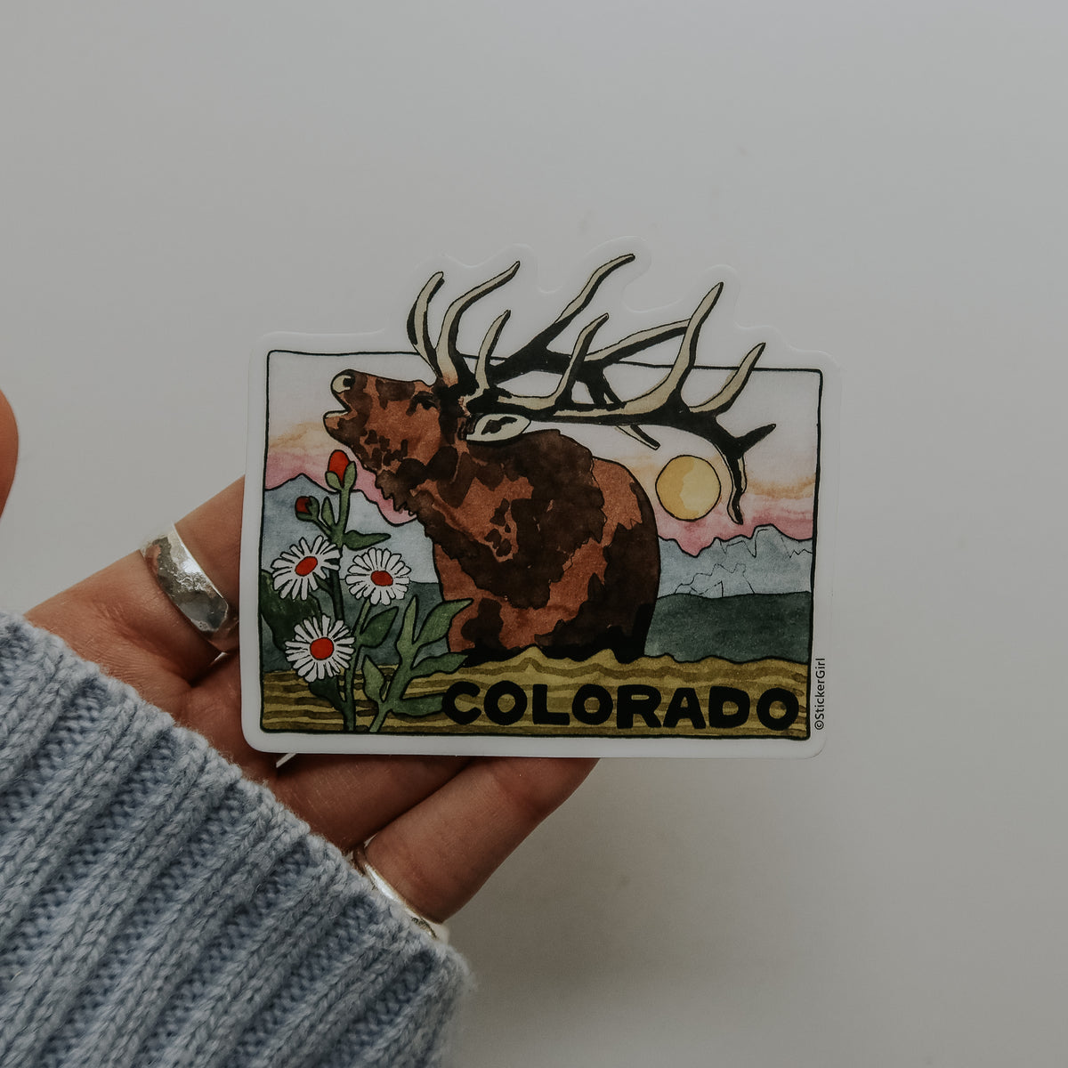 Elk Colorado State Outline Vinyl Sticker